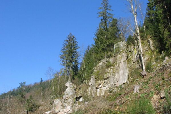 Wanderbarer Schwarzwald, leicht und manchmal auch schwerer zu erkunden.